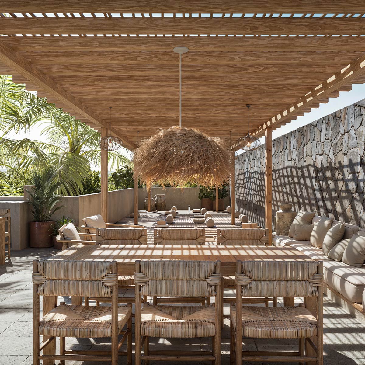 Callimayeque-visión